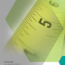 Glass Roof Surveyors Guide