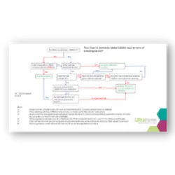 Beam Calculator Flow Chart