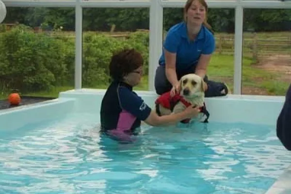 Cheadle Glass: A Pawtal with a Difference!